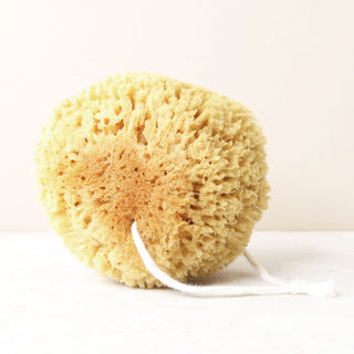 Natural Bath Sponge