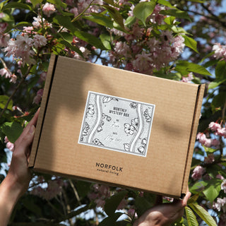 Monthly Mystery Subscription Box