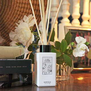 Seasonal - Reed Diffuser Oil Set