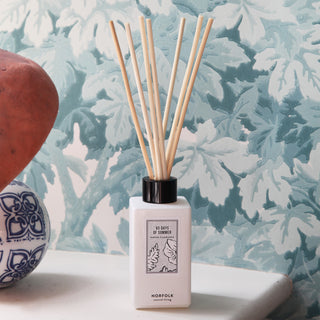 Seasonal - Reed Diffuser Oil Set