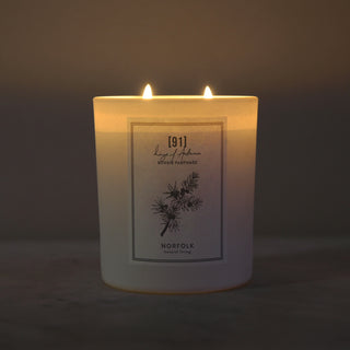 Seasonal Candle - Autumn 91