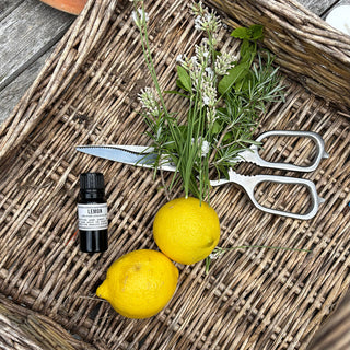 How To Naturally Repel Mosquitoes