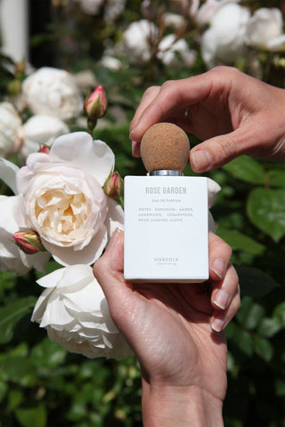 Why Your Perfume Belongs in the Fridge (Yes, Really)
