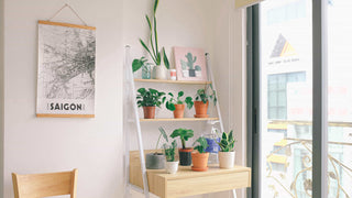5 easy tips for a more eco-friendly home (that you probably haven't tried yet)