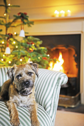 Festive and vaguely civilised - even when the dog is shedding joy (and fur) everywhere.