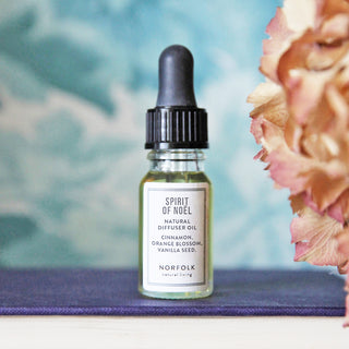 Electric Diffuser Oil 10ml - Spirit of Noel