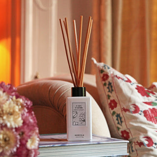 Seasonal - Reed Diffuser Oil Set