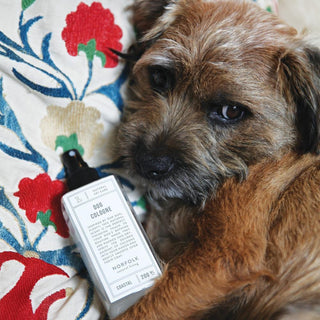 Dog Cologne