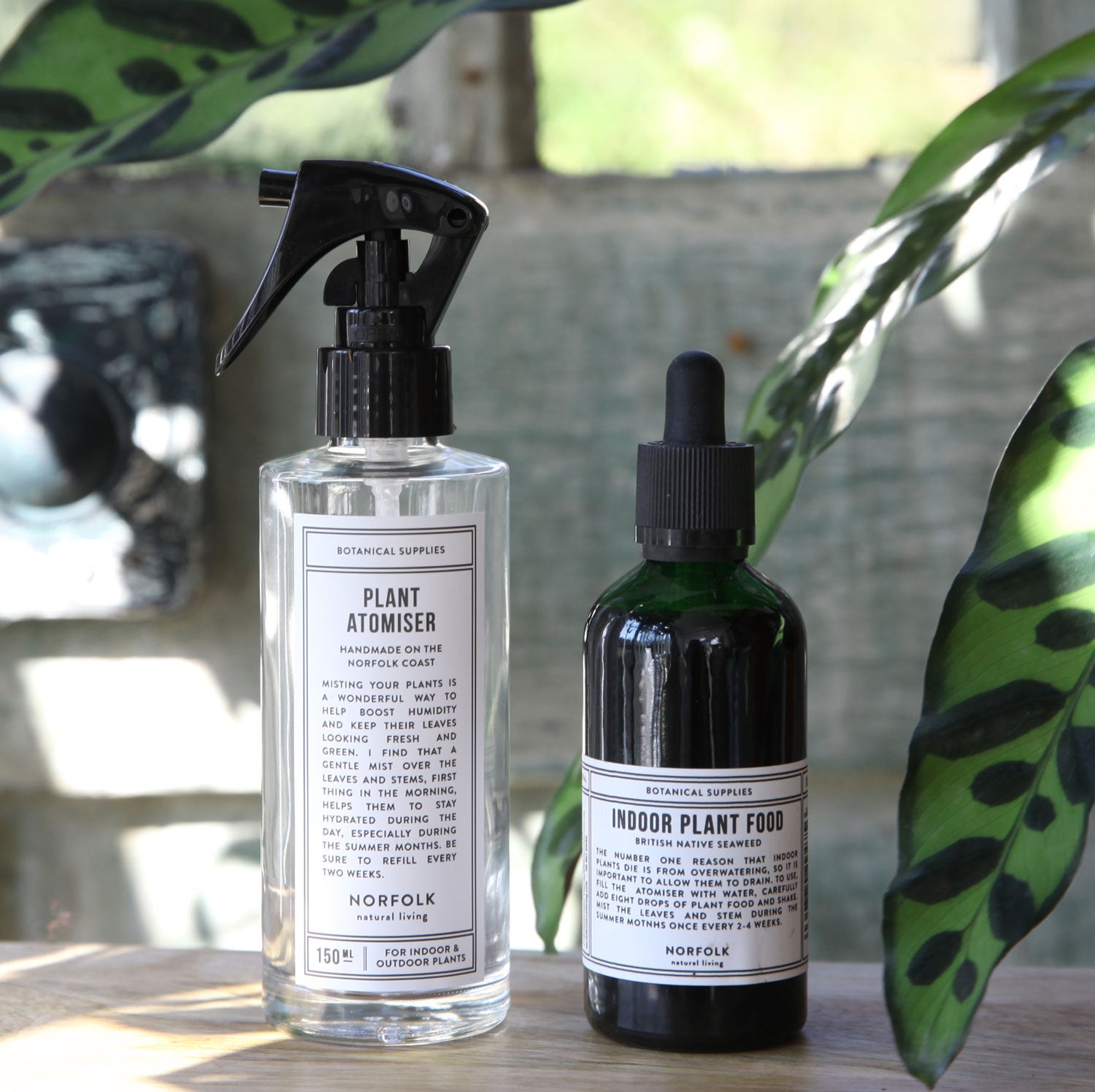 spray bottle for house plants Plant Atomiser Bottle