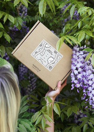 Monthly Mystery Subscription Box - October