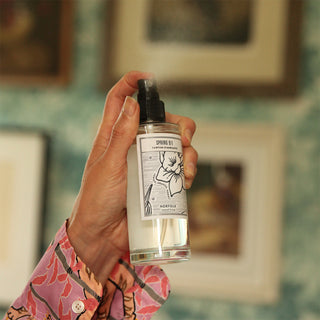 Room Spray - Spring 91