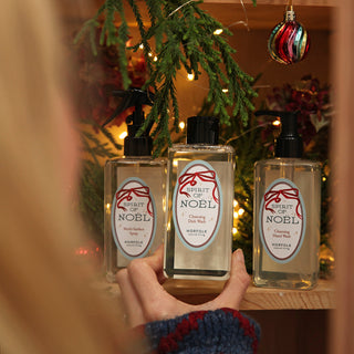 Festive Cleaning Set