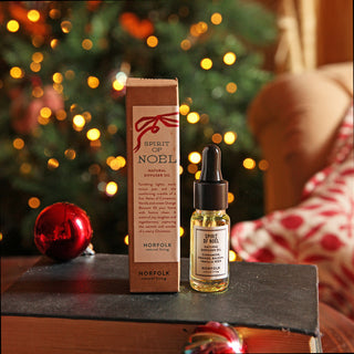 Electric Diffuser Oil 10ml - Spirit of Noel