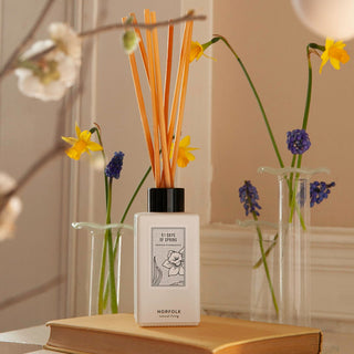 Seasonal - Reed Diffuser Oil Set