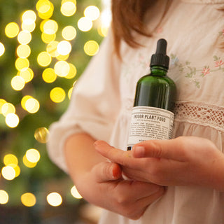 Indoor Plant Food 100ml