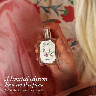 Scent Stories | Seasonal Perfume Subscription