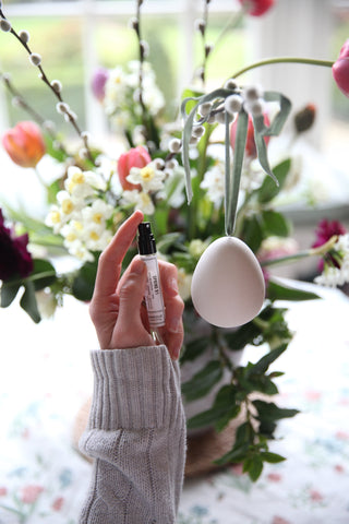 Scented Egg Diffuser