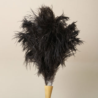 Feather Duster