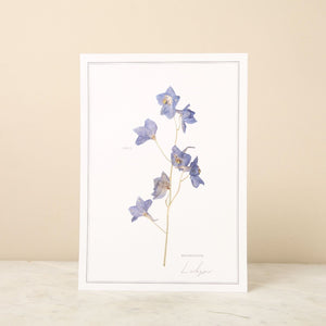 Pressed Flower A4 Print