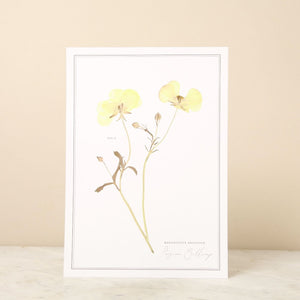 Pressed Flower A4 Print