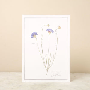 Pressed Flower A4 Print