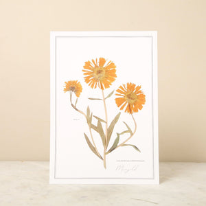 Pressed Flower A4 prints Set of 6