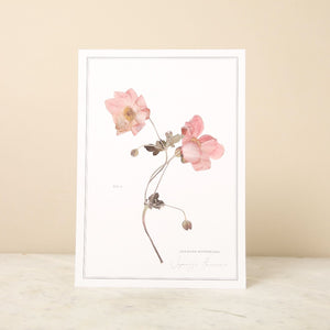 Pressed Flower A4 Print