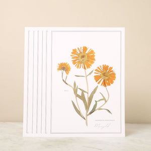 Pressed Flower A4 prints Set of 6