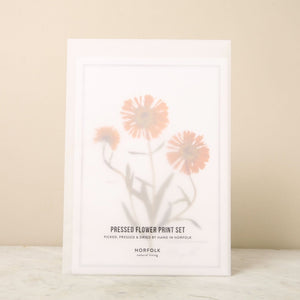 Pressed Flower A4 prints Set of 6