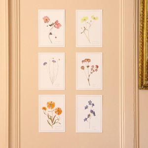 Pressed Flower A4 Print