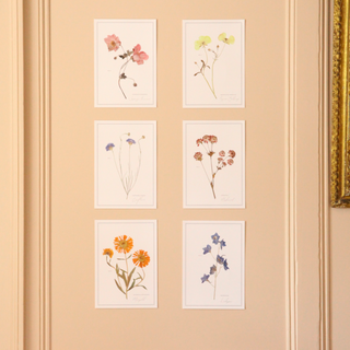 Pressed Flower A4 prints Set of 6
