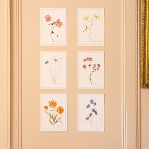 Pressed Flower A4 prints Set of 6