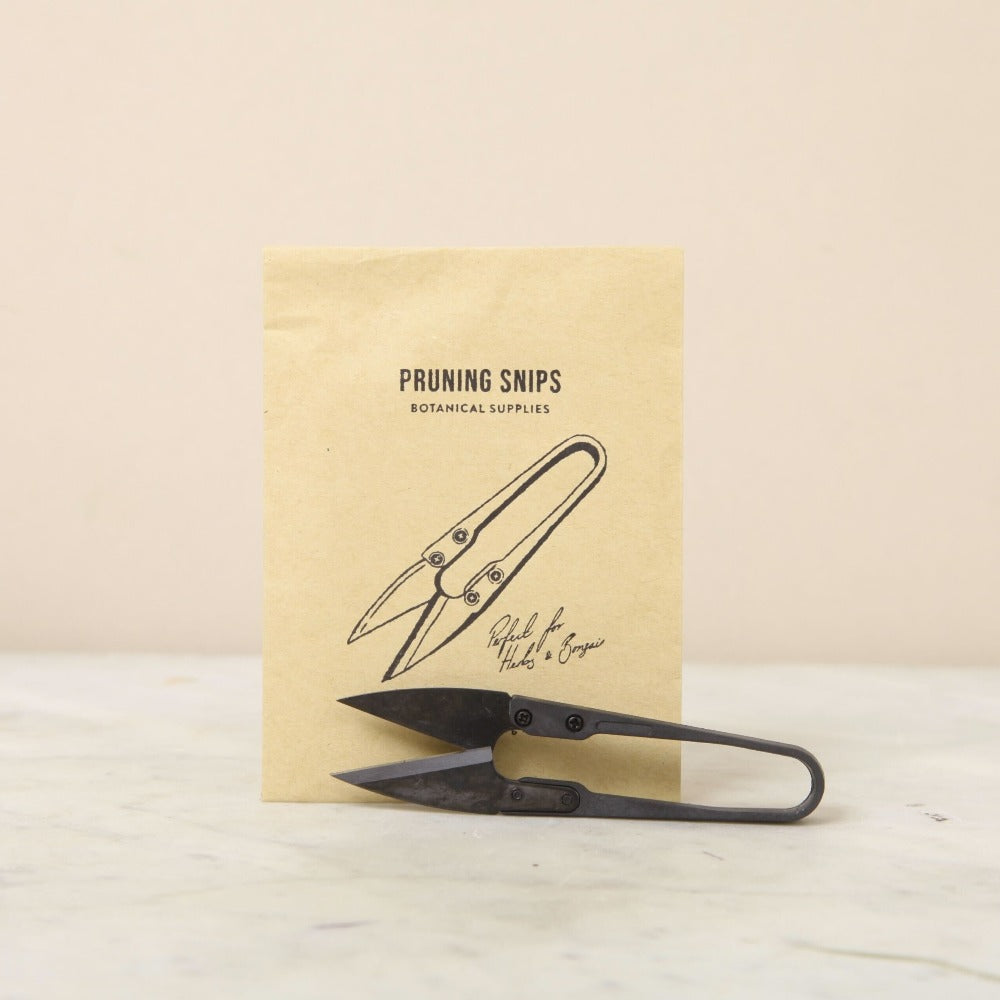Fine Pruning Snips | Precision Cutting for Herbs, Bonsai & Houseplants ...