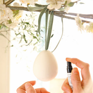 Scented Egg Diffuser